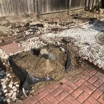 Christmas tree disposal