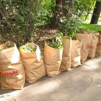 Landscaping Waste Disposal