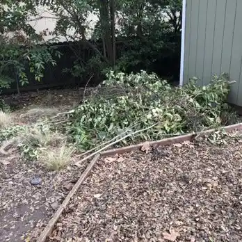 Landscaping Waste